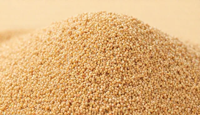 企业对接中如何高效使用专用豆粕饲料？